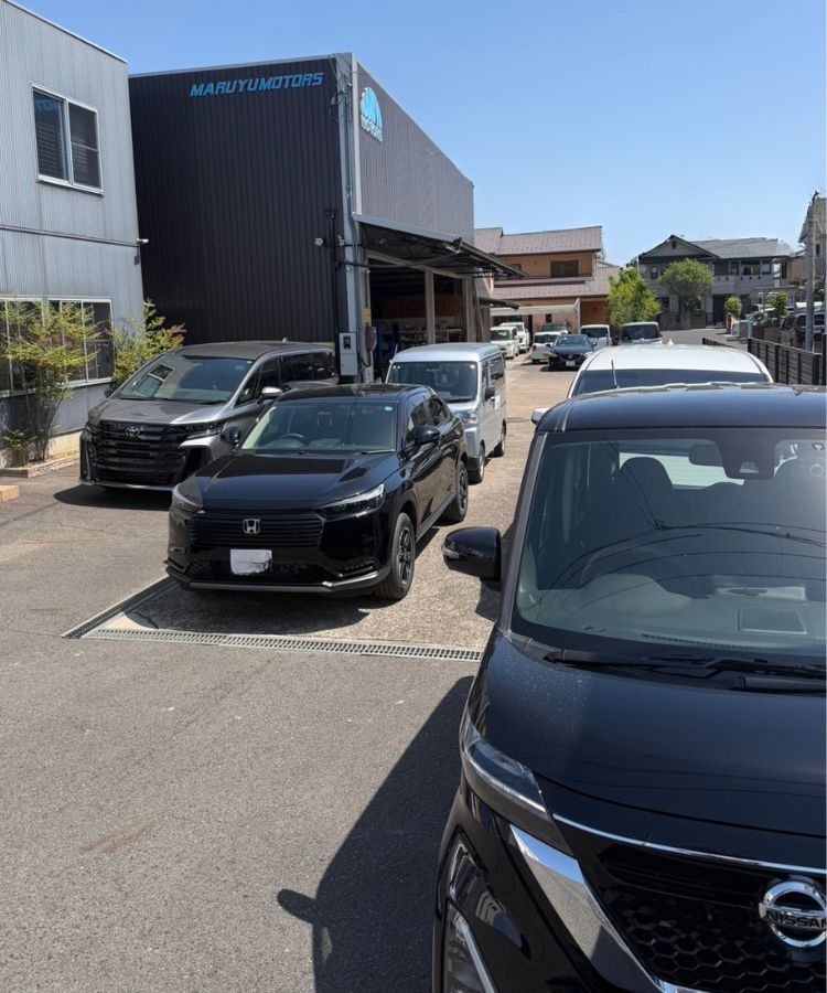 Land Cruiser 整備